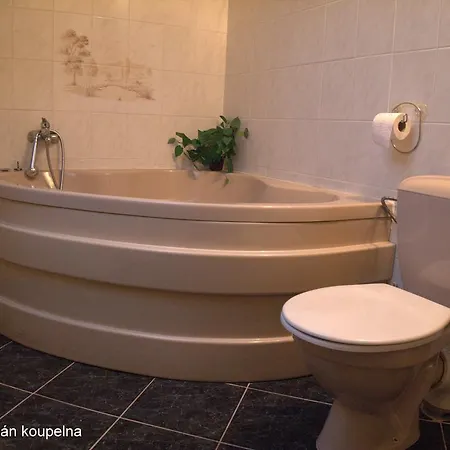 Pastis Gasthof Janov